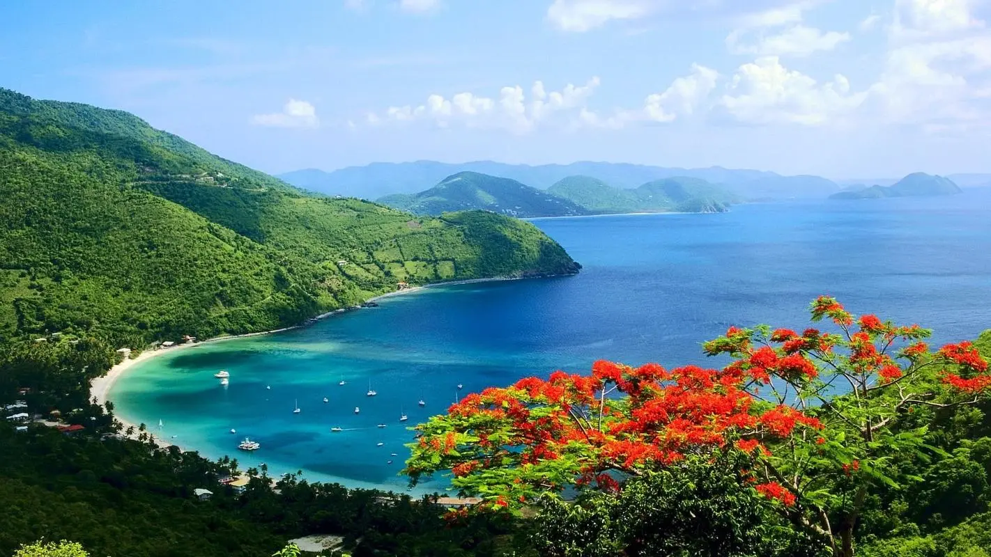 绿色全自动节能